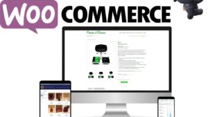 Поддръжка на електронен магазин базиран на Woocommerce