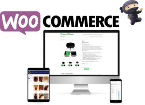 Техническа поддръжка на електронен магазин базиран на Woocommerce