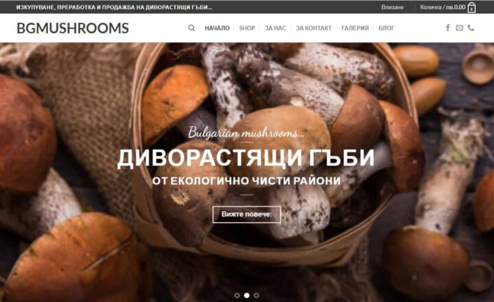 Интернет страница bg-mushrooms.com