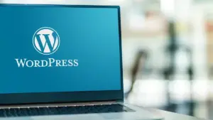 Техническа поддръжка на WordPress сайт