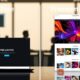 безплатни срещу платени WordPress теми